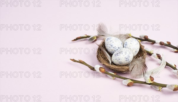 Easter holiday background, nest with small eggs, branches of pussy willow, greeting card, spring season, pink color, copy space for text