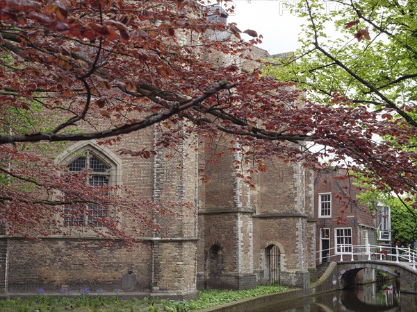 Scene of an old brick building with a red tree, a small bridge and a quiet canal, Delft, Holland, Netherlands
