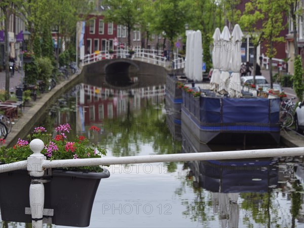 Scenic canal view with blooming flowers, a small bridge and a quiet city atmosphere, Delft, Holland, Netherlands
