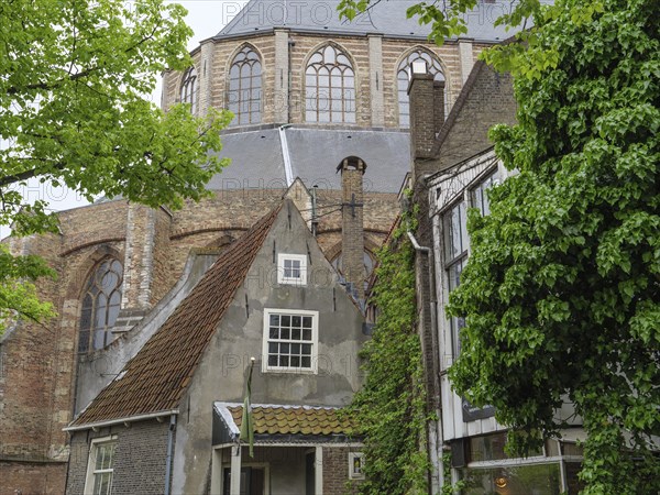 Historic building with Gothic architecture, surrounded by ivy and green trees, Delft, Holland, Netherlands