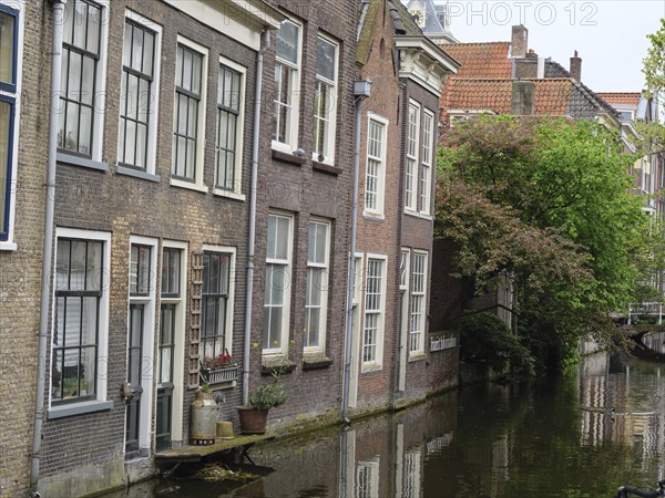 Historic brick houses on the canal with green plants and reflections in the water, Delft, Holland, Netherlands