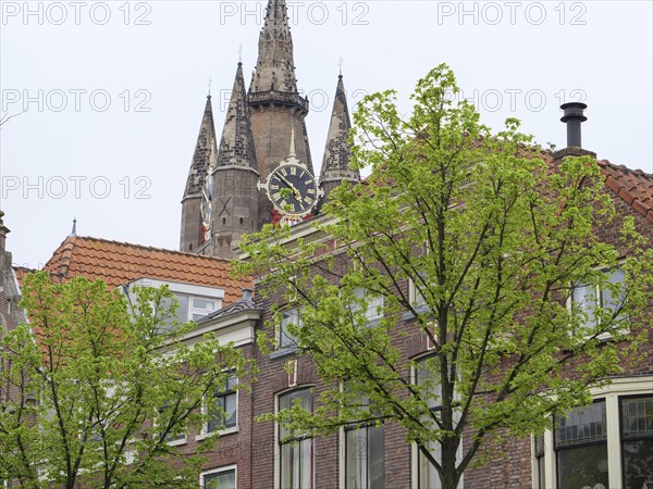 Historic church with a high bell tower, surrounded by trees and residential buildings, Delft, Holland, Netherlands