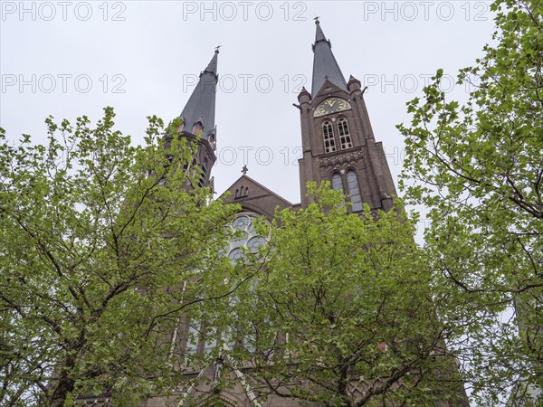Gothic church towers behind blossoming trees under a cloudy sky, Delft, Holland, Netherlands