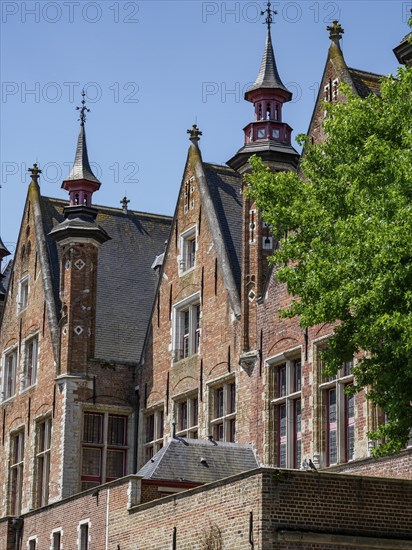 Large historic brick building with towers and many windows, next to a tree, Bruges, Flanders, Belgium, Europe
