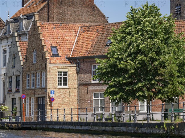 Brick houses along a canal with green trees and a sunny atmosphere in Brugge, Bruges, Flanders, Belgium, Europe