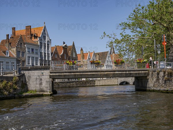 Bridge over a canal with flowers on it and historic buildings, surrounded by trees and a clear summer sky, Bruges, Flanders, Belgium, Europe
