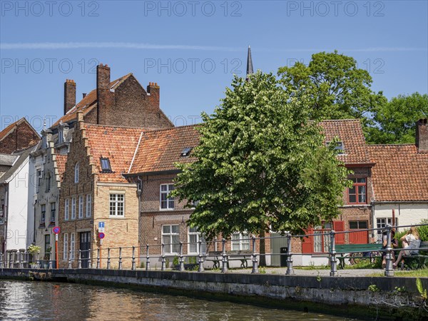 Historic houses along a canal, surrounded by green trees and calm water, Bruges, Flanders, Belgium, Europe