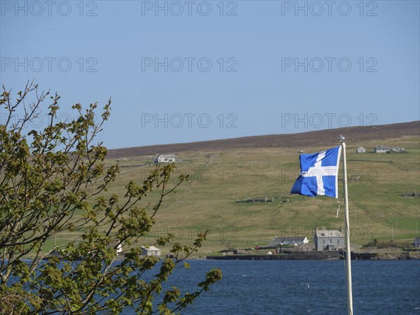 A Scottish flag flies on the coast with green hills and scattered houses in the background, lerwick, shetlands, scotland, uk