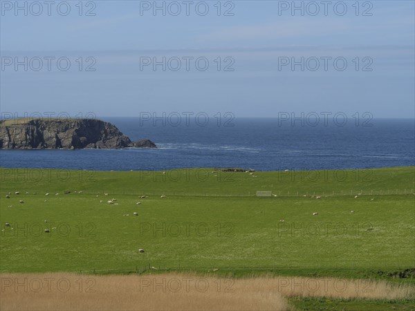 View over green fields to the wide blue sea with rocky coast, calm and wide atmosphere, lerwick, shetlands, scotland, great britain