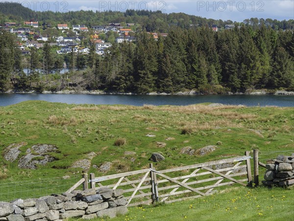 Green meadow with a wooden fence and a view of a river, surrounded by trees and a village in the background, haugesund, norway, scandinavia