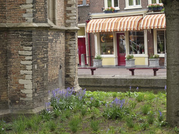 Garden with flowers in front of an old brick building and a street with buildings and shop windows, Delft, Netherlands
