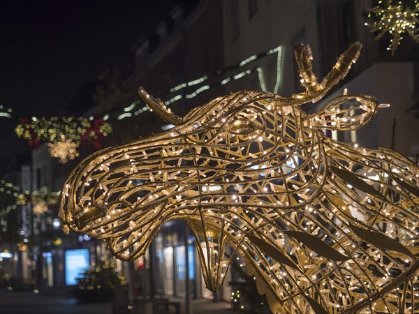 Close-up of a moss figure illuminated with fairy lights at night, bocholt, Münsterland, North Rhine-Westphalia, Germany, Europe