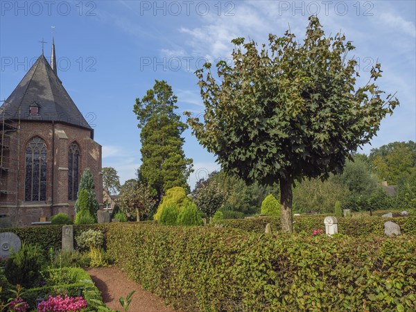 Church with vaulted roof, surrounded by hedges and tree in the front area, quiet garden landscape, marienthal, westphalia, germany