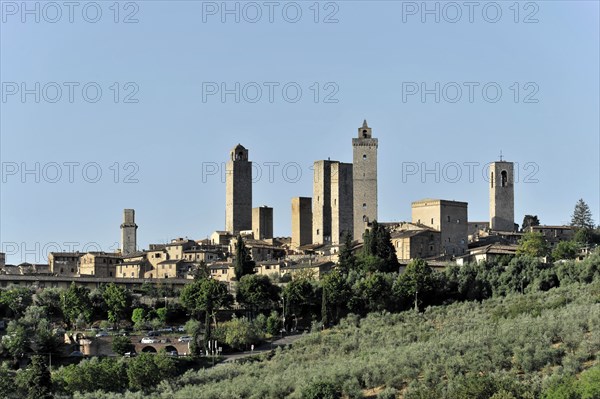 Towers of the sexes, Landscape, in autumn, Fields with olive trees, Vineyards, Tuscany, Italy, Europe, Historical town view with striking medieval towers and green trees in the foreground, Europe