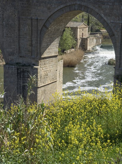 Stone bridge over river with waterfall and yellow flowers in the foreground, Toledo, Spain, Europe