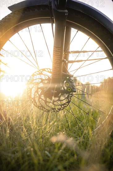 Front wheel of a bicycle in the evening sun in a meadow, e-bike, Black Forest, Gechingen, Germany, Europe