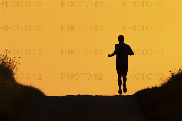 A jogger runs along a country lane near Frankfurt am Main, Frankfurt am Main, Hesse, Germany, in the early morning, shortly after sunrise, Europe