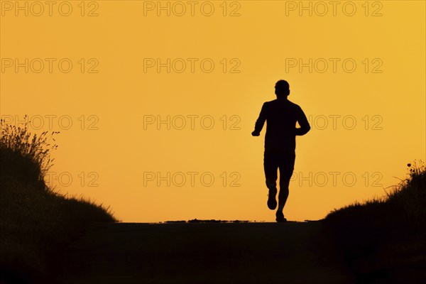 A jogger runs along a country lane near Frankfurt am Main, Frankfurt am Main, Hesse, Germany, in the early morning, shortly after sunrise, Europe