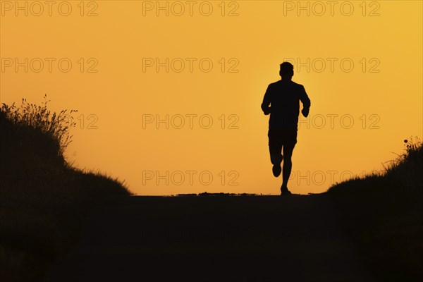 A jogger runs along a country lane near Frankfurt am Main, Frankfurt am Main, Hesse, Germany, in the early morning, shortly after sunrise, Europe
