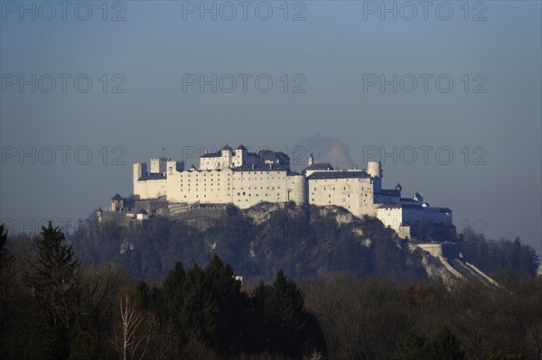 Medieval castle on a wooded hill, surrounded by trees and with a clear sky, Hohensalzburg Fortress, Salzburg