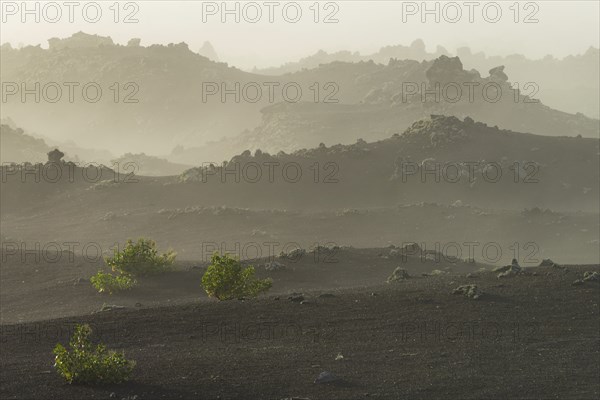 Parque Natural de Los Volcanes, near Masdache, Lanzarote, Canary Islands, Spain, Europe