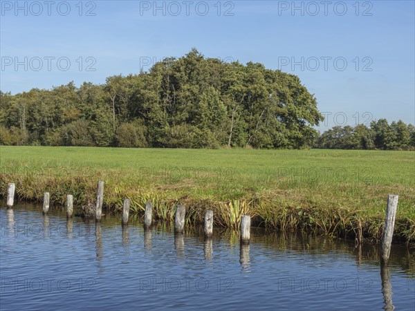 A green meadow with trees and poles by the water, in a rural and nature-rich environment, giethoorn, Netherlands