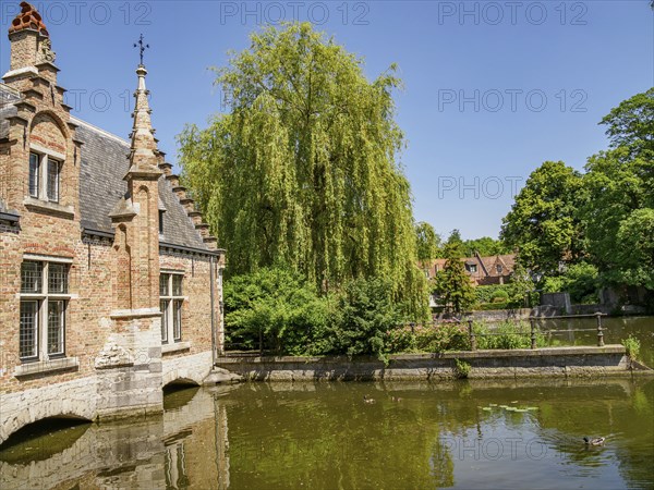 A historic house on the canal with willow trees in the background and reflections in the water, Bruges, Belgium, Europe