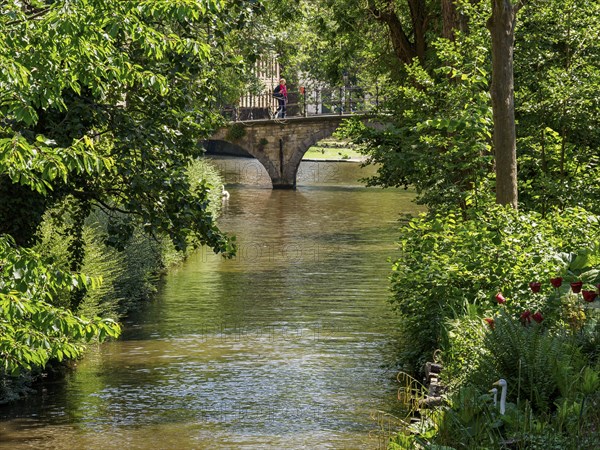 A quiet canal with a stone bridge, surrounded by green trees and plants, Bruges, Belgium, Europe
