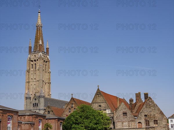 Historic church tower and buildings with tiled roofs, trees and blue sky on a sunny day, Bruges, Belgium, Europe