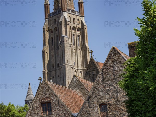A tall brick church tower next to several historic buildings with Gothic architecture under a blue sky, Bruges, Belgium, Europe