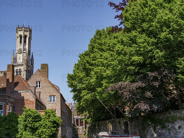Historic houses and a tower surrounded by lush green foliage on a sunny day, Bruges, Belgium, Europe