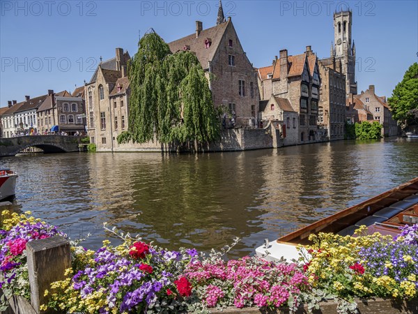 Colourful blooming flowers on the canal in front of historic buildings with boats under a clear sky, Bruges, Belgium, Europe