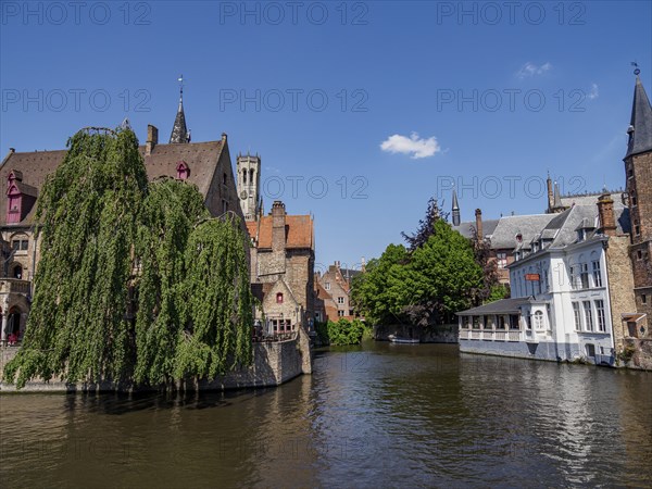 Idyllic scene with medieval buildings and trees on a quiet canal under a clear sky, Bruges, Belgium, Europe