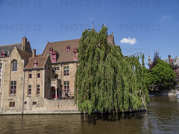 Old brick building on a water canal with hanging trees, in the background a clear blue sky, Bruges, Belgium, Europe