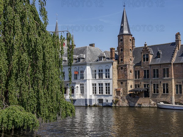 Historic buildings and trees along a canal in Bruges on a sunny day, Bruges, Belgium, Europe