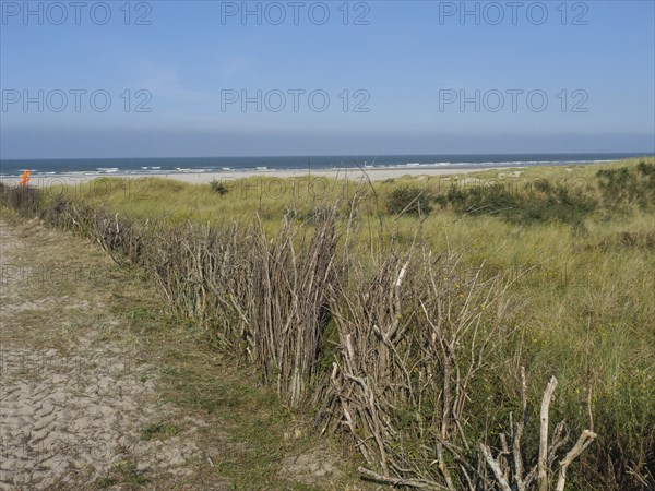 Path through a meadow to a secluded beach with sand dunes and blue sky, juist, east frisia, germany