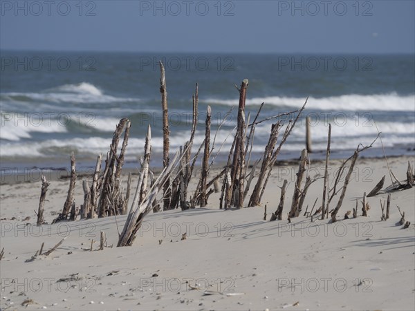Close-up of a beach with driftwood stumps and the sea in the background, juist, east frisia, germany