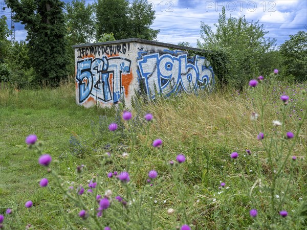 Graffiti 1. FC Magdeburg since 1965 on a wall at Jersleber See. In the European Cup, 1. FC Magdeburg reached the quarter-finals in the 1965-66 season after an 8:1 victory over FC Sion on 17 November 1965, the highest victory in its European Cup history., Jersleben, Saxony-Anhalt, Germany, Europe