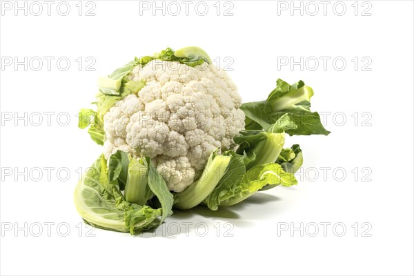 Cauliflower, raw whole vegetable isolated on a white background, ingredient for healthy vegetarian cooking, copy space