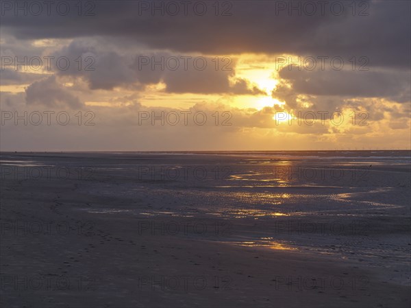Melancholic sunset on the beach with footprints in the sand and golden colours, juist, east frisia, germany