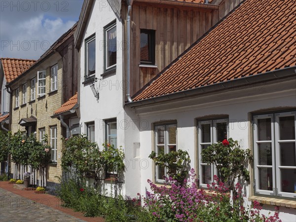 Houses with half-timbered and tiled roofs as well as well-tended front gardens and colourful flowers along the street, Schleswig, Schleswig-Holstein, Germany, Europe