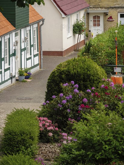 Blooming garden in front of traditional half-timbered houses in a picturesque village, Schleswig, Schleswig-Holstein, Germany, Europe