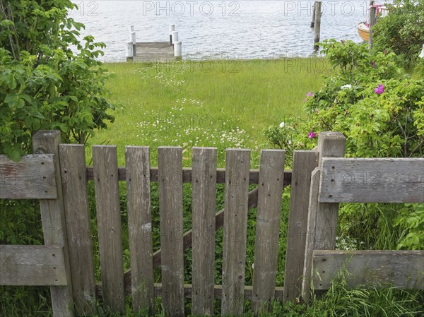 Wooden fence leading to a meadow and a body of water, surrounded by trees and flowers, Arnis, Schleswig-Holstein, Germany, Europe