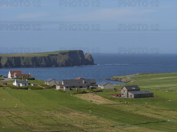 Coastal view with houses and green fields against the background of the sea and cliffs, Lerwick, Shetlands, Scotland, United Kingdom, Europe