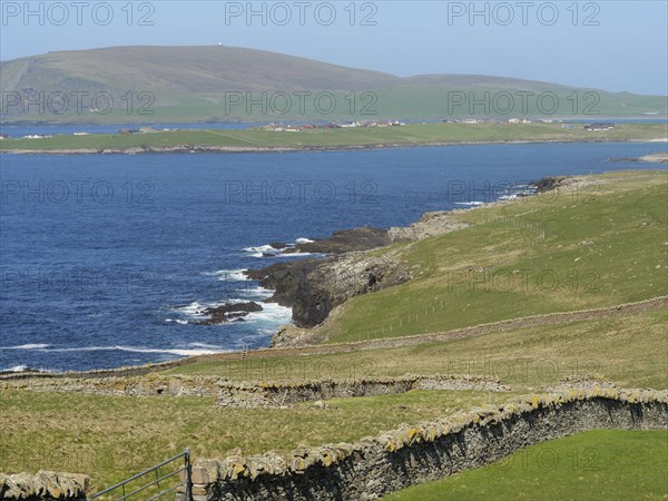 Green hills and stone walls along a picturesque coastline overlooking the sea and an island, Lerwick, Shetlands, Scotland, United Kingdom, Europe