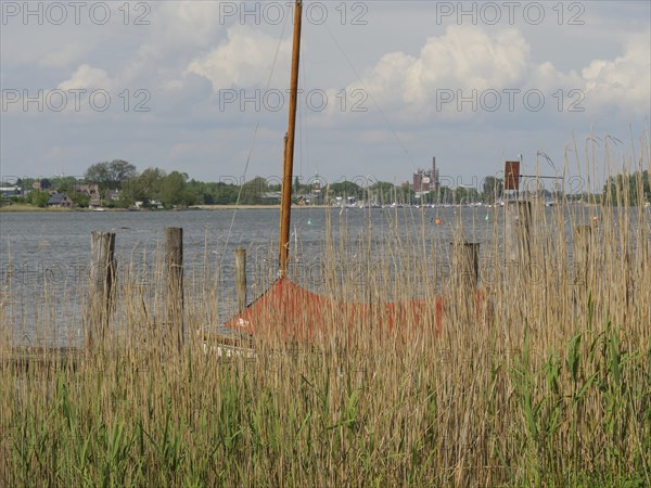 View through reed grass to a lake with boat, poles and cloudy sky, Arnis, Schleswig-Holstein, Germany, Europe