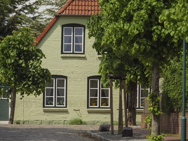 Green house with red tiled roof and trees on a cobbled street in summer, Arnis, Schleswig-Holstein, Germany, Europe
