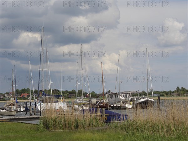 Sailboats lying in the harbour against a cloudy sky backdrop and surrounded by reeds, Arnis, Schleswig-Holstein, Germany, Europe
