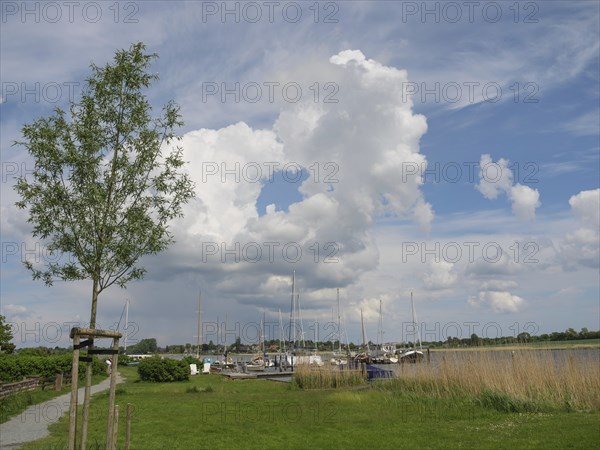 View of a harbour full of sailing boats under a sky with dense clouds, Arnis, Schleswig-Holstein, Germany, Europe