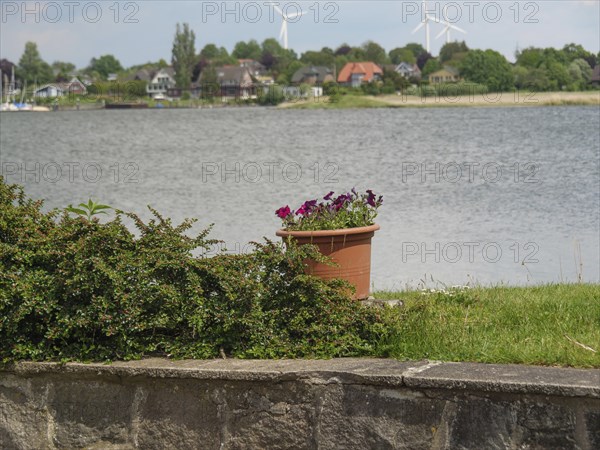 A flower pot stands in front of a riverbank with a village and wind turbines in the background, Arnis, Schleswig-Holstein, Germany, Europe